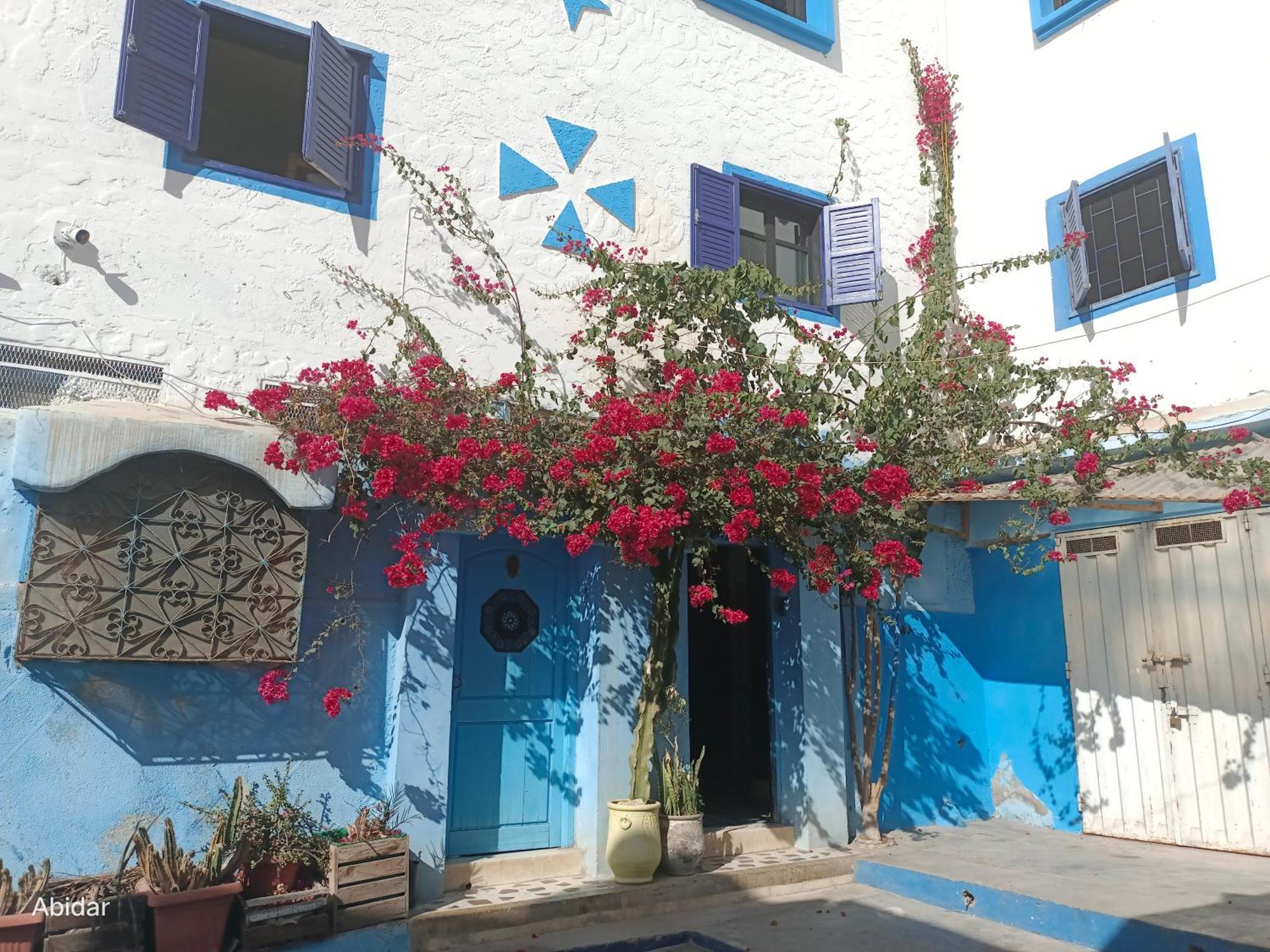 Habibi Hostel ทากาเซาท์ ภายนอก รูปภาพ